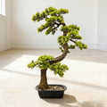 29.53inch Artificial Pine Tree with Faux Leaves, Perfect for Indoor And Outdoor Decoration in for Home Or Office, Comes with Plastic Planter