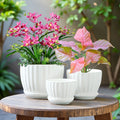 3pcs 6-inch 5-inch 4-inch Large, Medium And Small Corrugated Pattern Ceramic Flower Pot with Drainage Holes - Perfect for Indoor And Outdoor Succulents, Vanilla And Flowers, Casual Style, Round Design